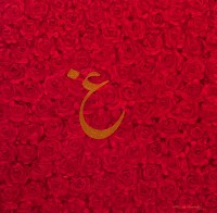 G. N. Qazi, Nukta-2, 16 x 16 inch, Acrylic On Canvas, AC-GNQ-096